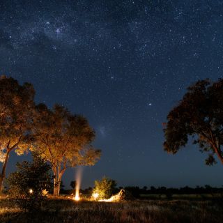 Unser Camp unter der Milchstraße: Botswanas  dunkler Himmel bietet beste Bedingungen für die Nachtfotografie (Mababe)