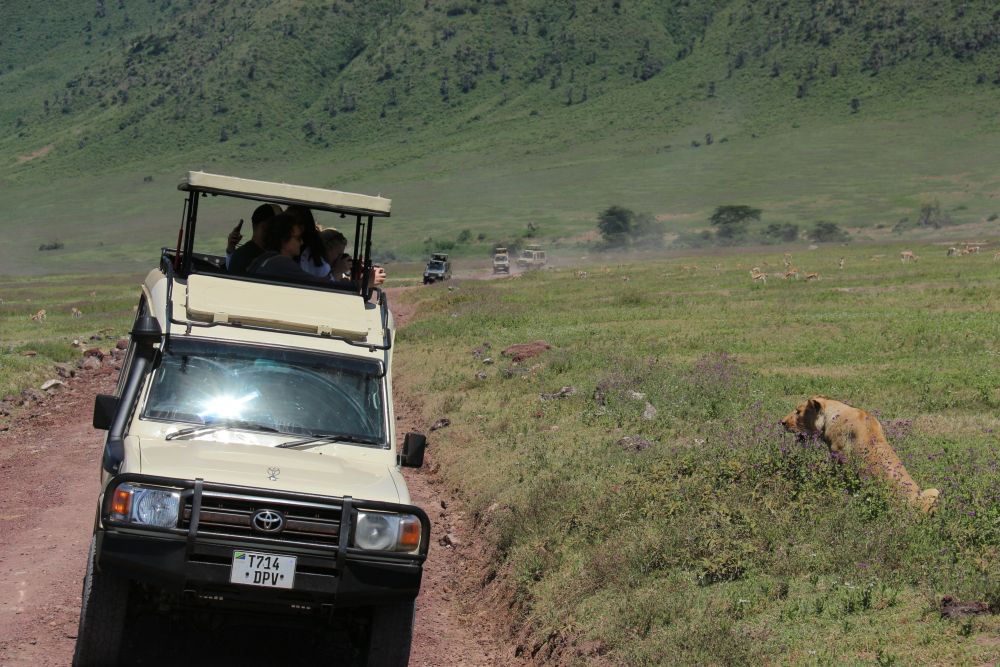 Auf Pirschfahrt im Ngorongoro-Krater