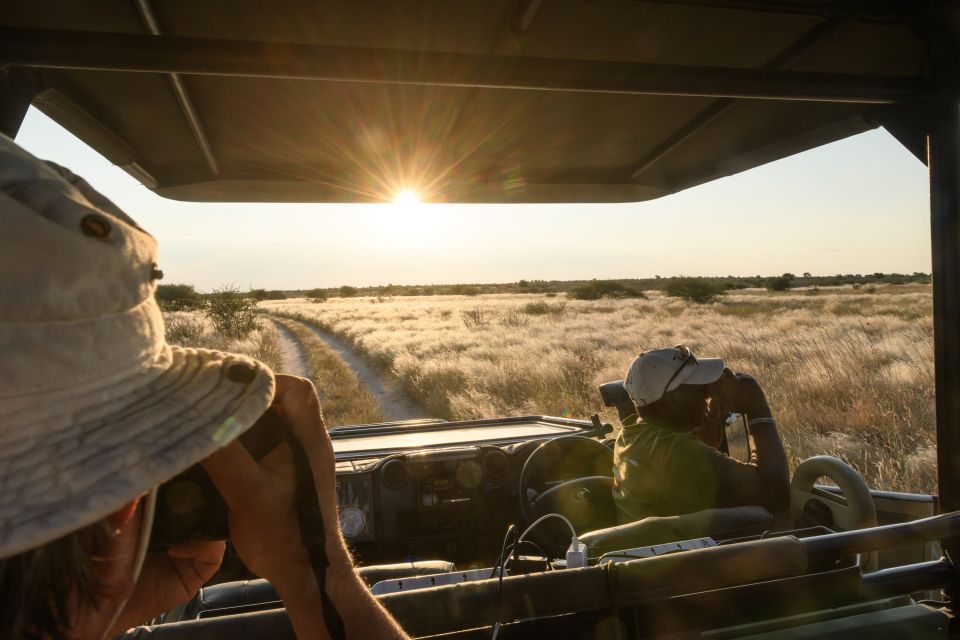 Auf Pirschfahrt am Spätnachmittag, die Sonne steht tief (Central Kalahari Game Reserve).