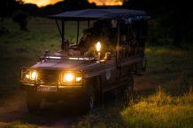 Auf Nachtpirschfahrt im E-Safarifahrzeug