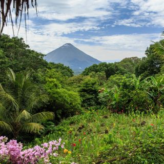 Vulkan Concepción mit Dschungel und Blumen