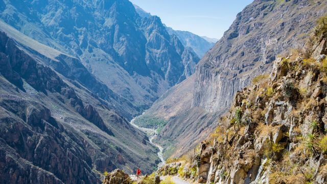 Colca-Trek: Aussicht in den Colca-Canyon