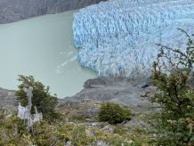 Aussicht auf den Grey-Gletscher während des O-Treks im Torres-Park