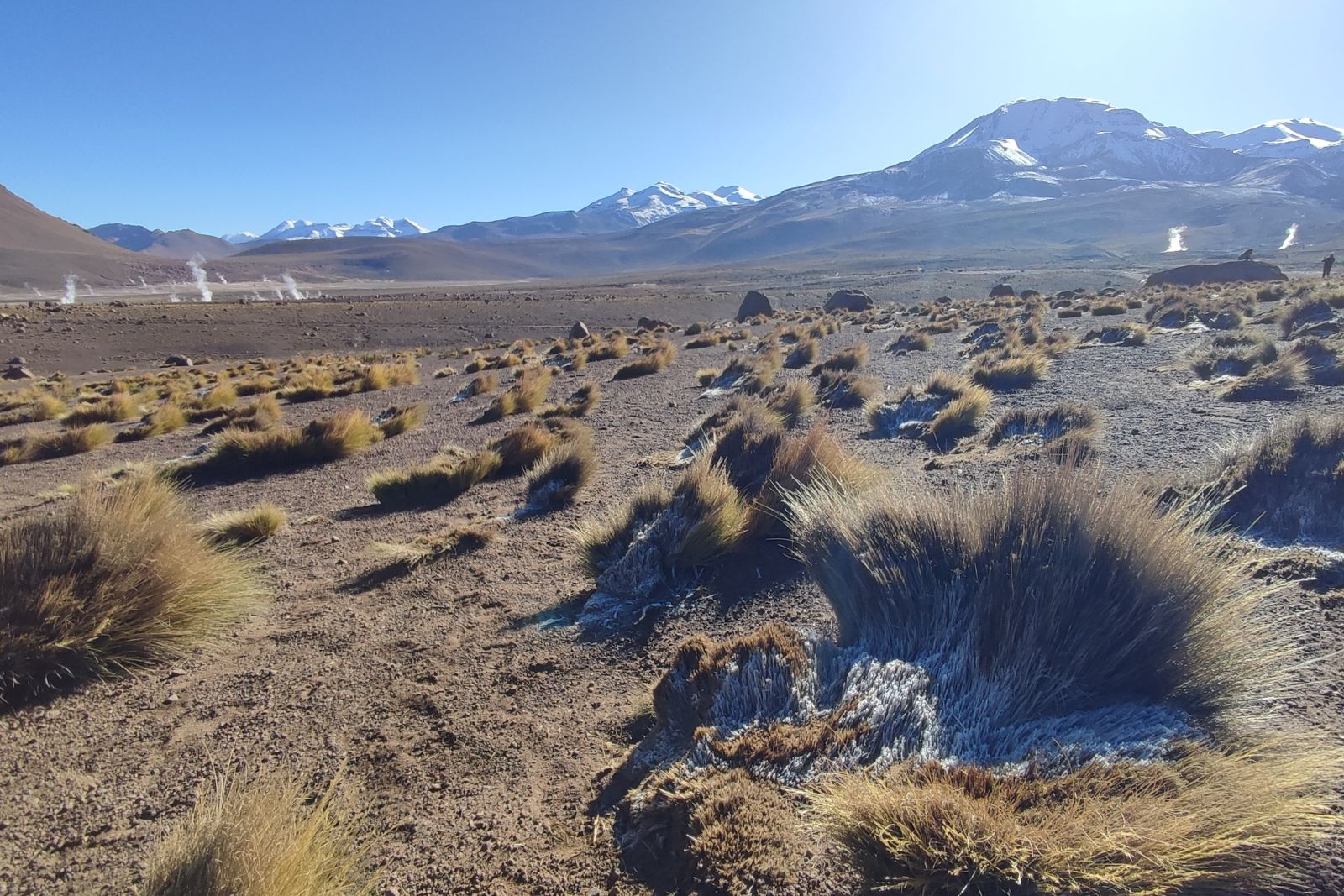 El Tatio-Geysirfeld in der Atacama-Wüste (Chile)