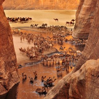 Das Guelta d&#039;Archei auf dem Ennedi-Plateau im Nordosten des Tschad
