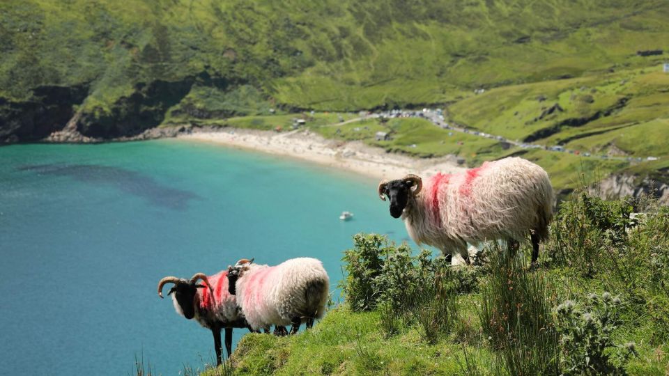 Unweit von Westport – Achill Island