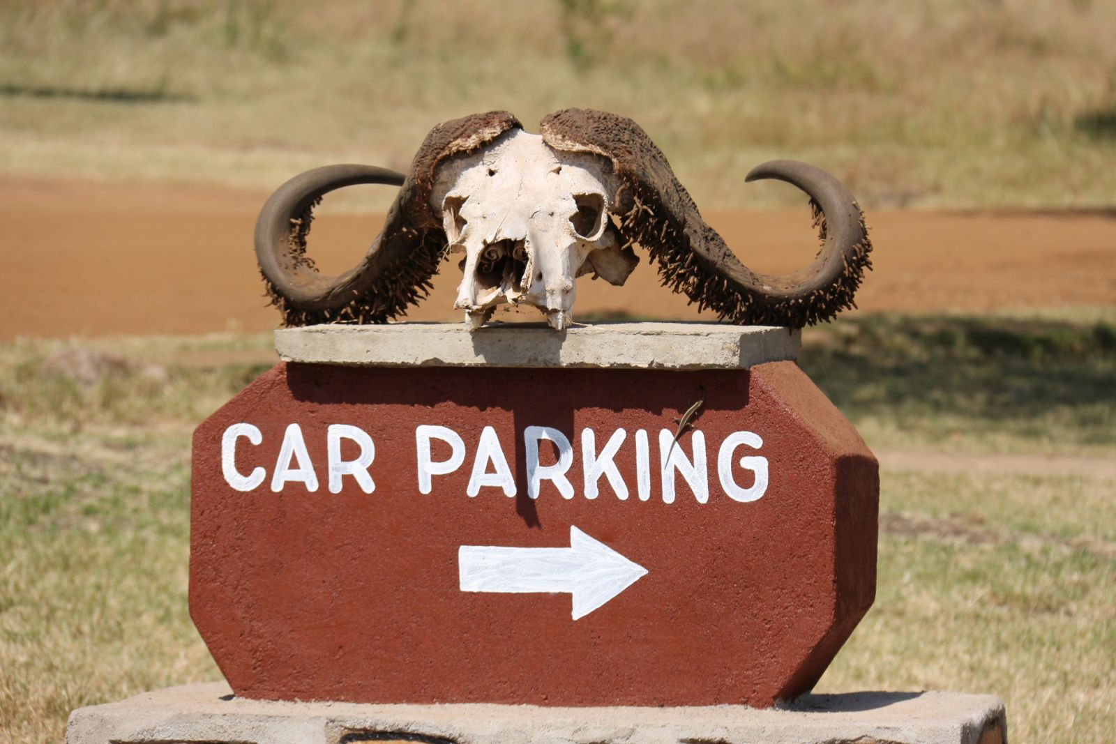Parkplatz in der Serengeti
