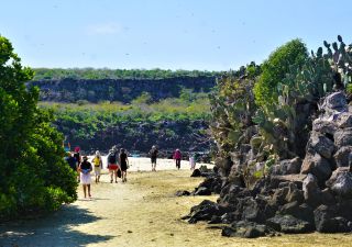 Genovesa: Wanderung zur Darwin Bucht