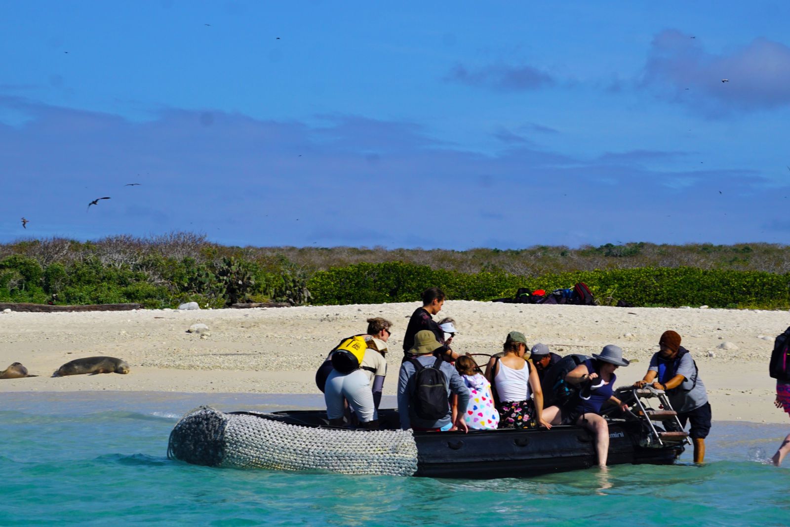 Genovesa: Nasslandung in der Darwin Bucht
