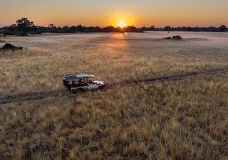 Auf Safari im nördlichen Okavango-Delta