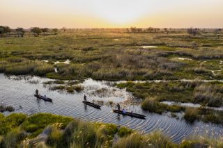 Im Mokoro durch das Okavango Delta