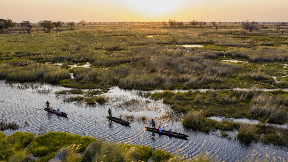 Im Mokoro durch das Okavango-Delta