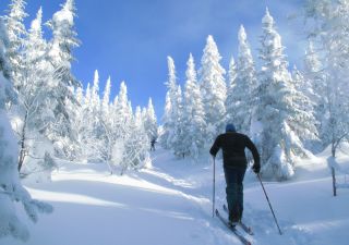 Skilangläufer in Quebec