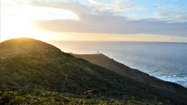 Cape Reinga bei Sonnenuntergang