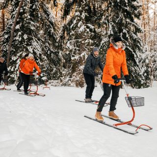 Tretschlitten fahren im Winterwald