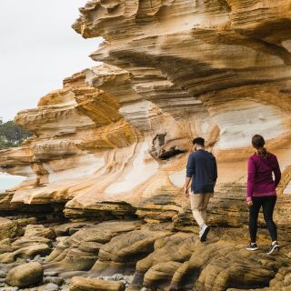 Die Painted Cliffs an der Küste Tasmaniens
