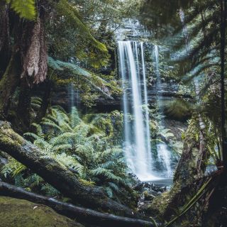Russell Wasserfall im Mt Field Nationalpark