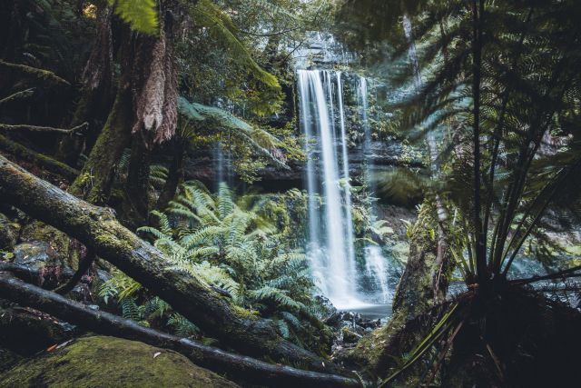 Russell Wasserfall im Mt Field Nationalpark