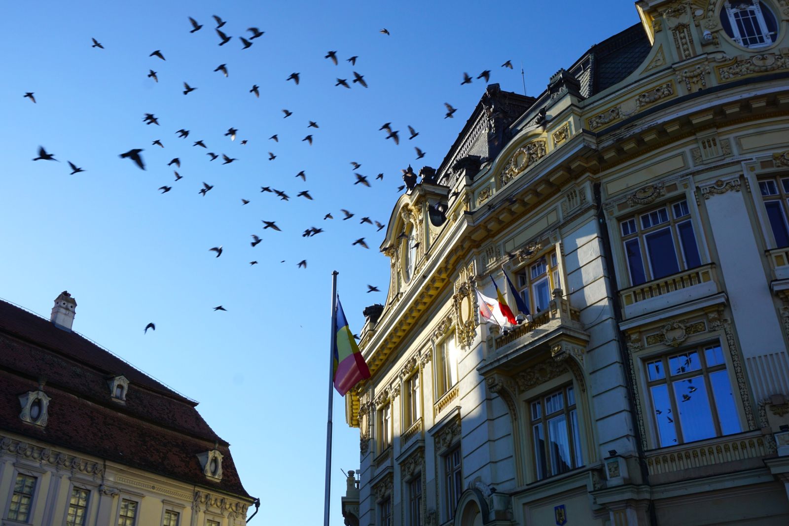 Rathaus von Sibiu