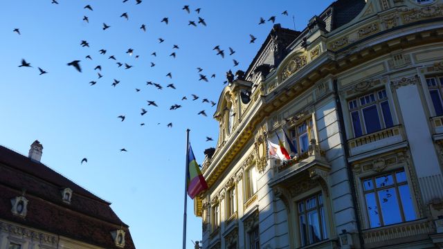 Rathaus von Sibiu