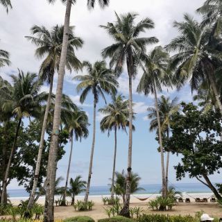 Strand von Sabang auf der Insel Palawan