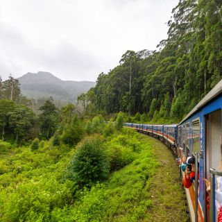 Spektakuläre Ausblicke während einer Zugfahrt in Sri Lanka