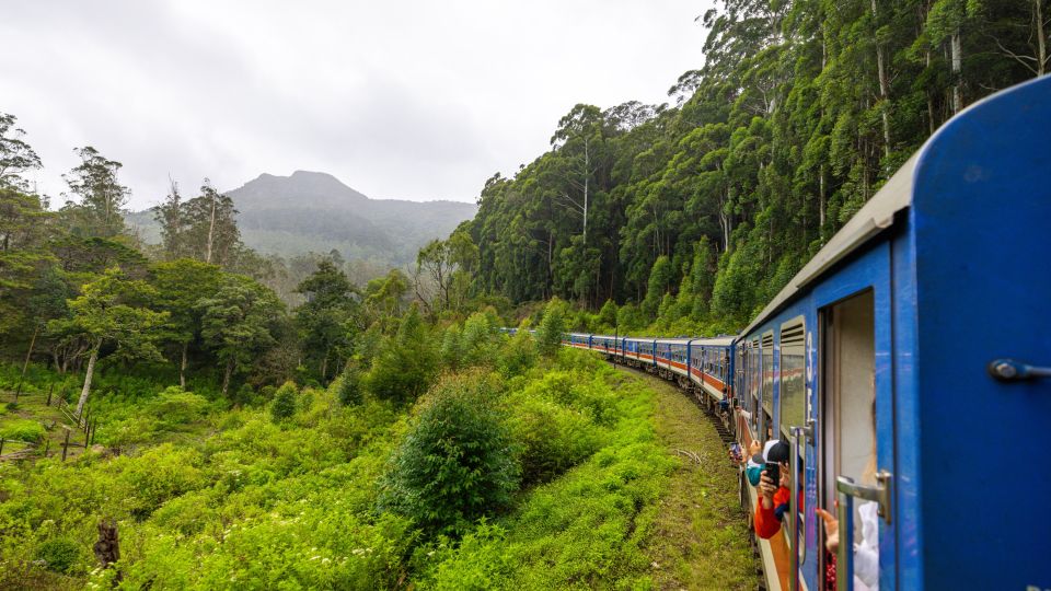 Spektakuläre Ausblicke während einer Zugfahrt in Sri Lanka