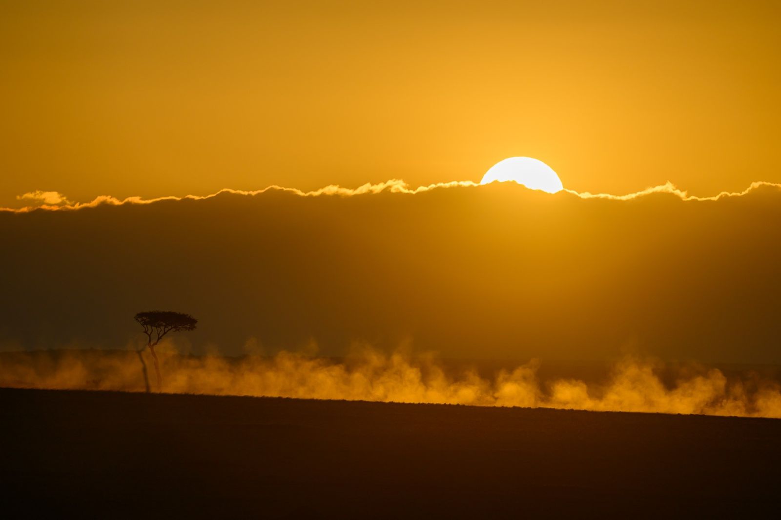 Sonnenaufgang in der Masai Mara