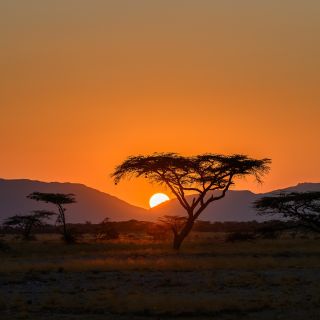 Sonnenaufgang im Samburu
