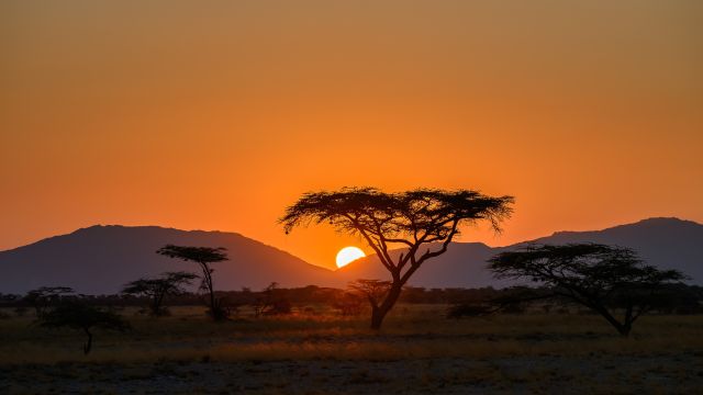 Ein Sonnenaufgang in Ostafrika