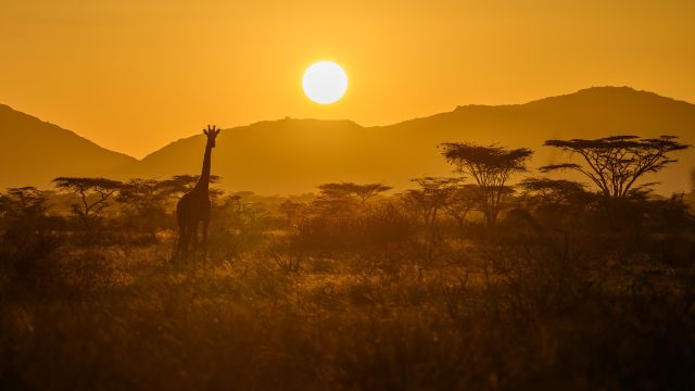 Samburu zum Sonnenaufgang