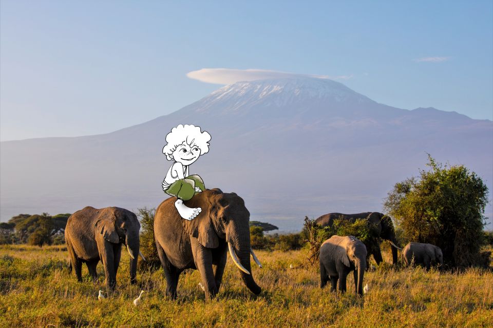 Elefanten vor der Kulisse des Kilimanjaro