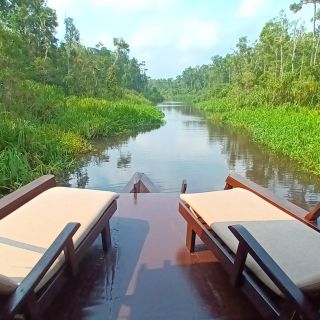 Mit dem Boot durch den Tanjung-Puting-Nationalpark
