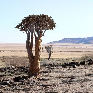 Rundreise durch Namibia