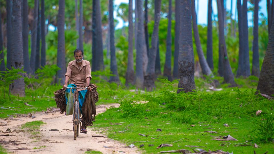mit dem Fahrrad durch Jaffna