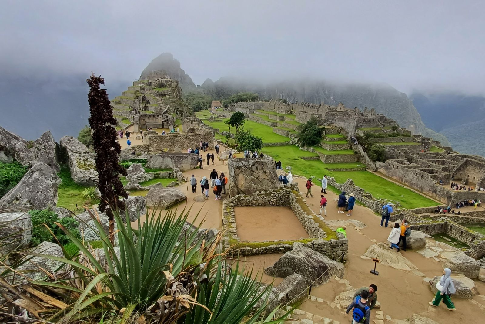 Mystisch: Machu Picchu im Nebel