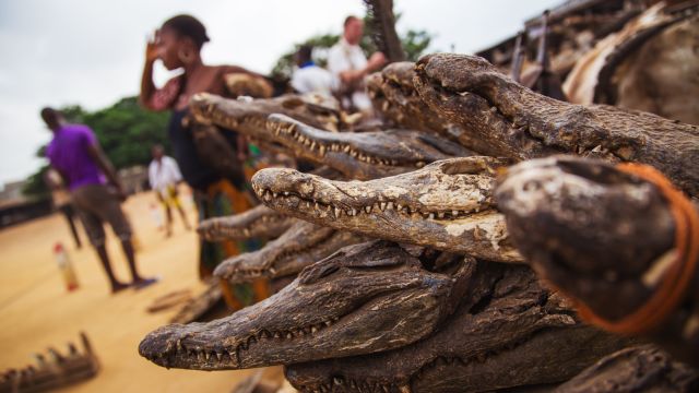 Akodessewa Fetisch-Markt in Lome