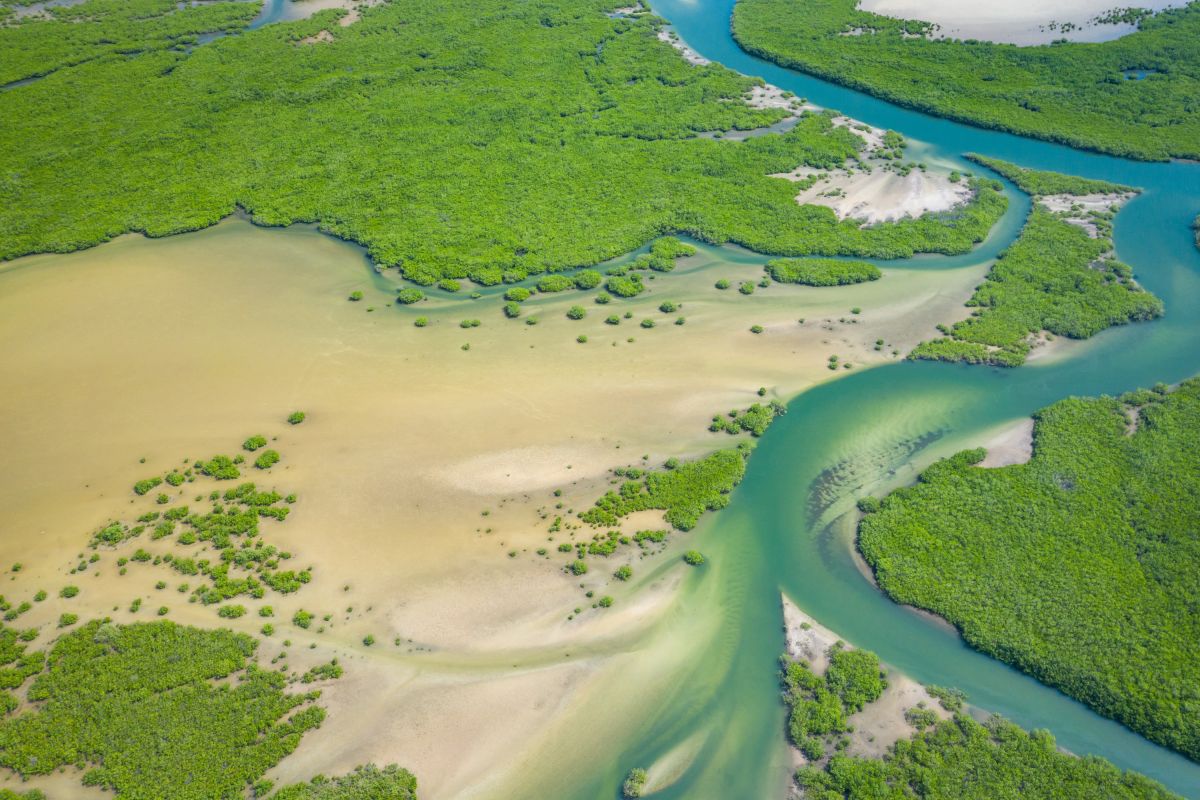 Luftaufnahme des Mangrovenwaldes im Saloum-Delta-Nationalpark, Joal Fadiout, Senegal.