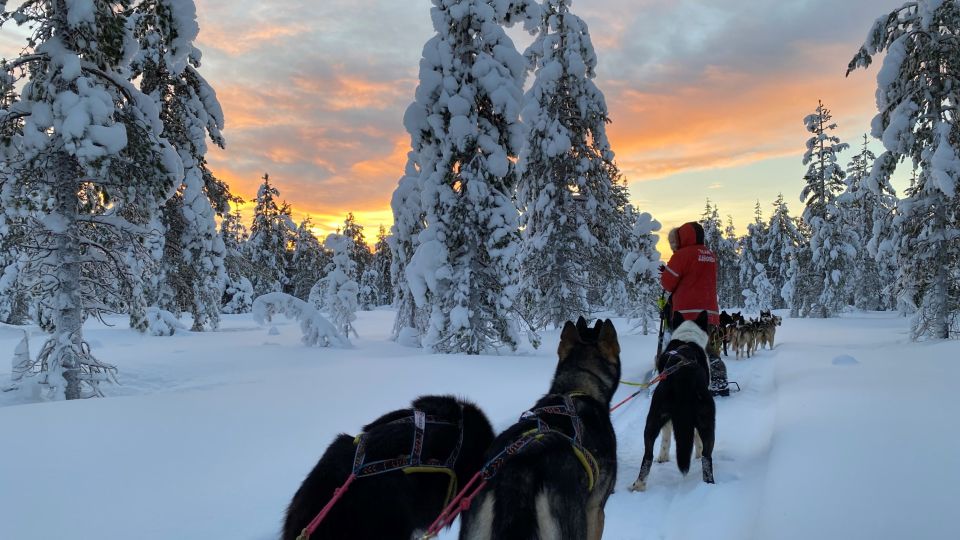 Ein Traum in weiß in Finnisch-Lappland