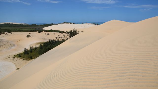 Sanddünen auf der Insel Bazaruto.