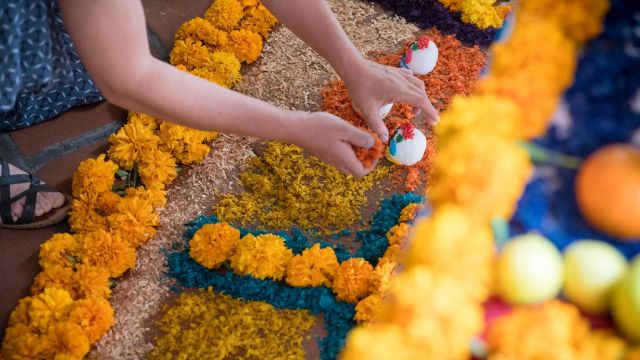 Tagetes – bei uns als Studentenblume bekannt – bestimmen in Mexiko die Dekorationen zum Tag der Toten