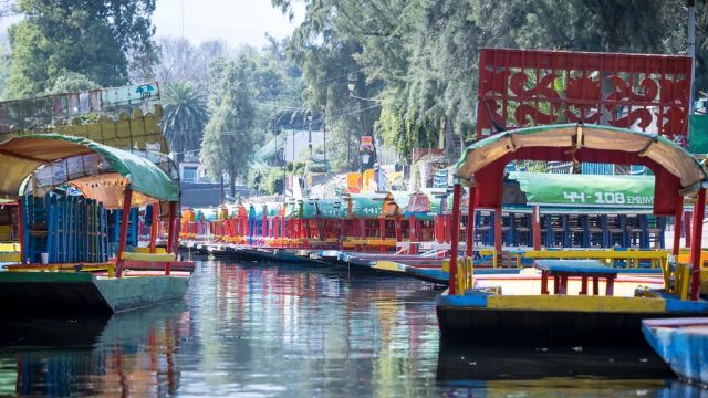 Auf den Kanälen von Xochimilco in Mexiko-Stadt bewegt man sich per Boot fort