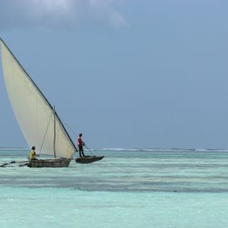 An Sansibars Ostküste