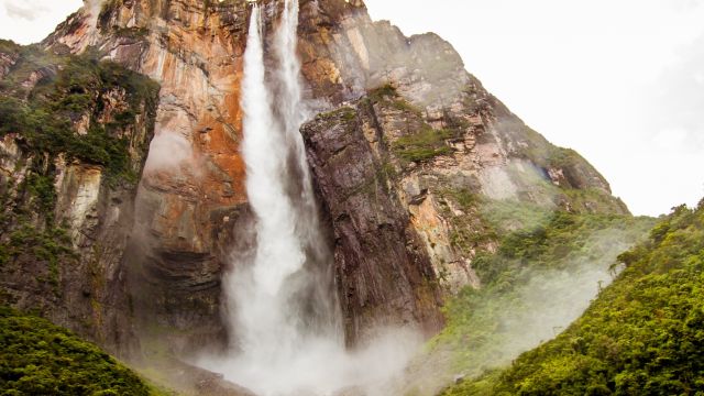 Blick auf den Wald der Angel Falls im Canaima-Park