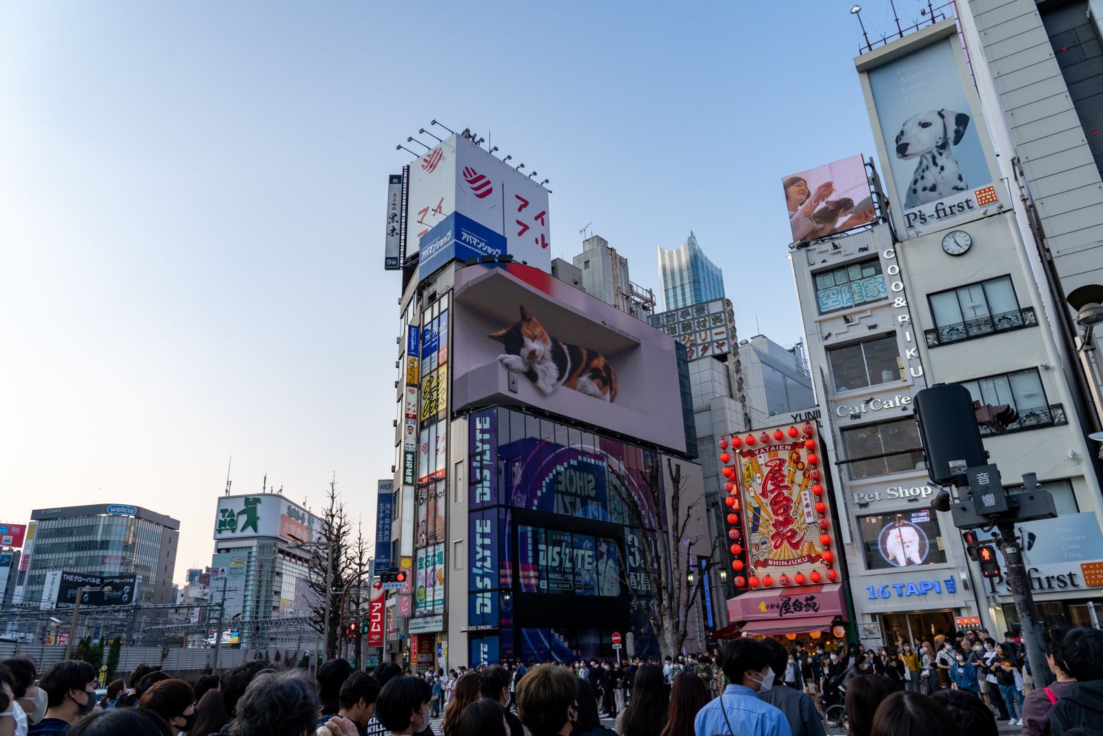 Tokioter Wahrzeichen – die „kyodai neko“ (Riesenkatze) in den Straßen Shinjukus
