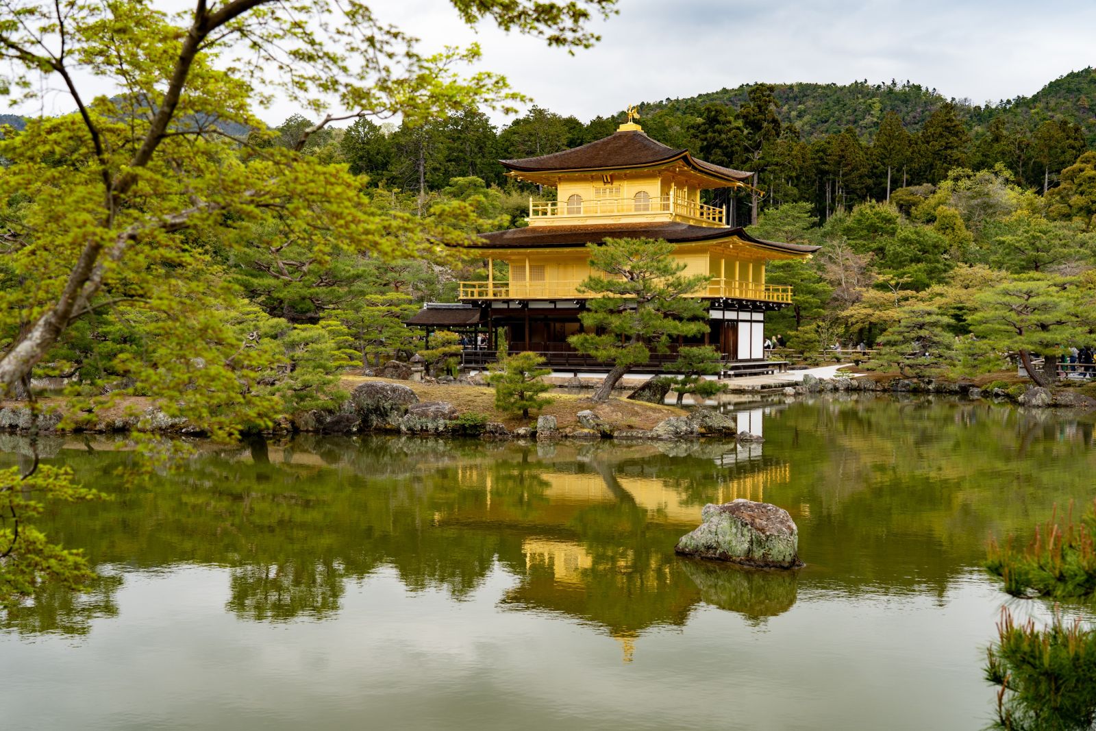 Der goldene Tempel „Kinkaki-ji“ im Nordwesten Kyotos