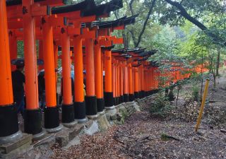 Durch 1000 Tore gehen – diie „Torii“-Tore des Fushimi Inari Schrein