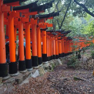Durch 1000 Tore gehen – diie „Torii“-Tore des Fushimi Inari Schrein