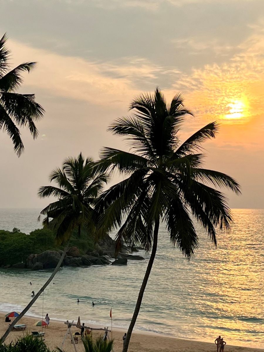 Den Sonnenuntergang am Palmenstrand genießen