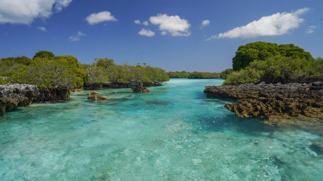 Aldabra Lagune
